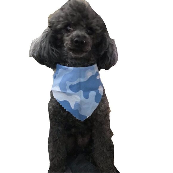 Dog Handkerchief Set of Two Blue Small Toy - Picture 12 of 12